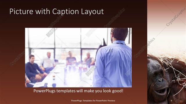 Picture with Caption presentation slide layout