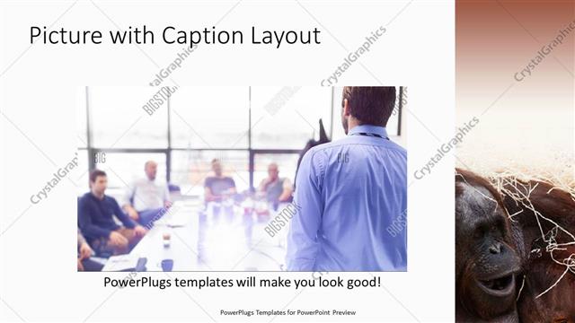 Picture with Caption presentation slide layout