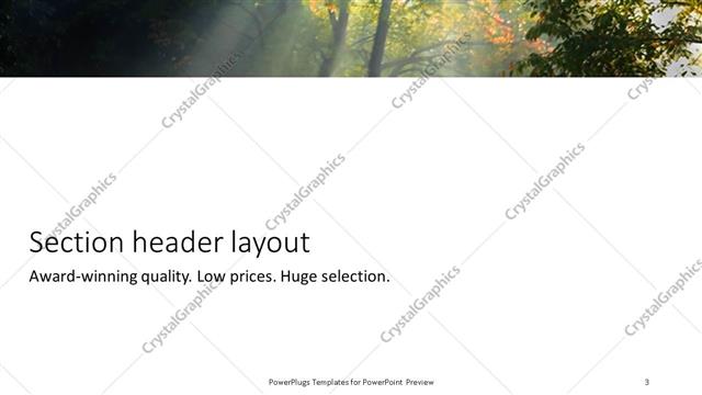 Section Header presentation slide layout