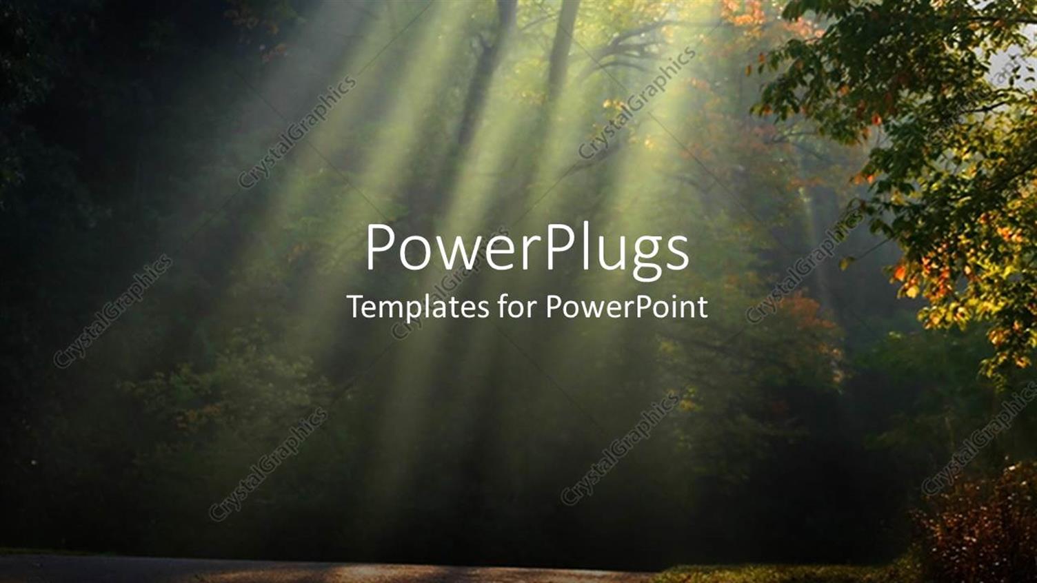 Premium Template for PowerPoint & Google Slides 