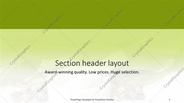 Section Header presentation slide layout