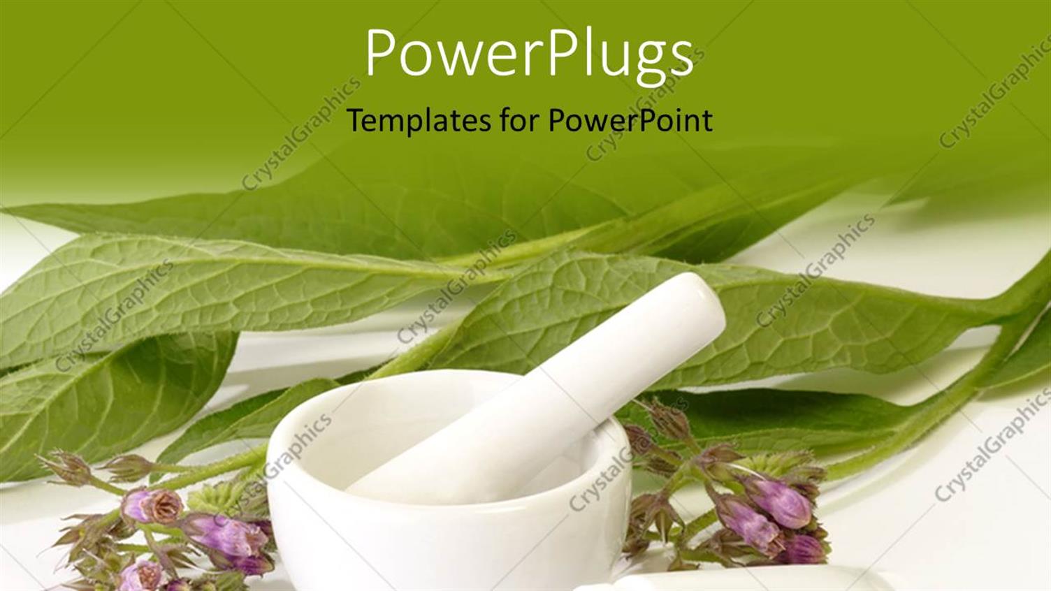 Featuring Mortal and Pestle with White Tube and Green Leaves on White Surface