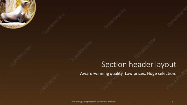 Section Header presentation slide layout
