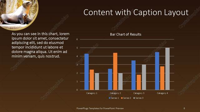 Content with Caption presentation slide layout