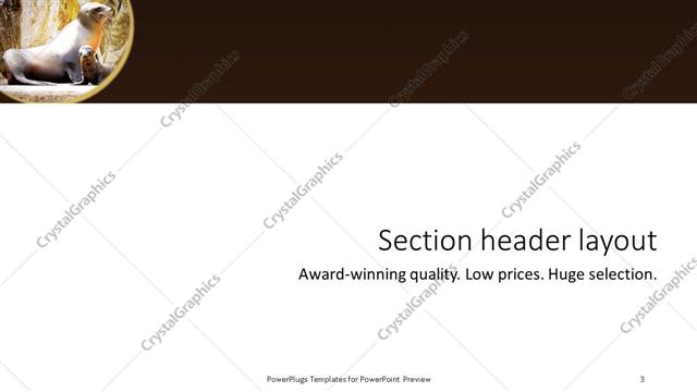 Section Header presentation slide layout