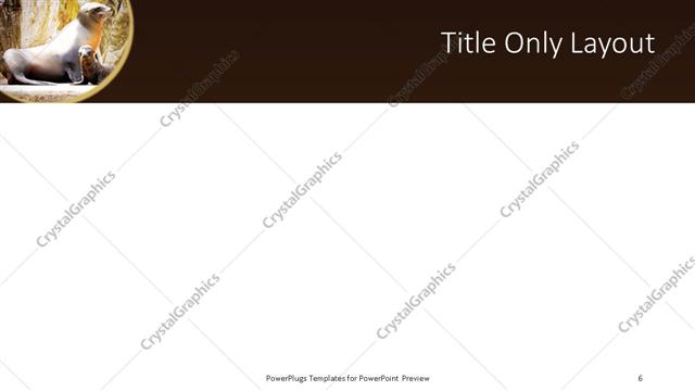 Title Only presentation slide layout