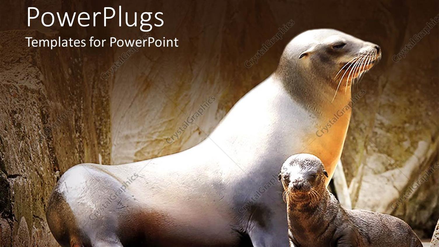 Premium Template for PowerPoint & Google Slides 