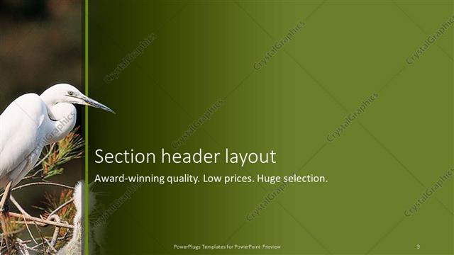 Section Header presentation slide layout