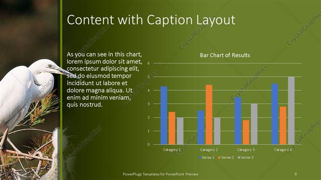 Content with Caption presentation slide layout
