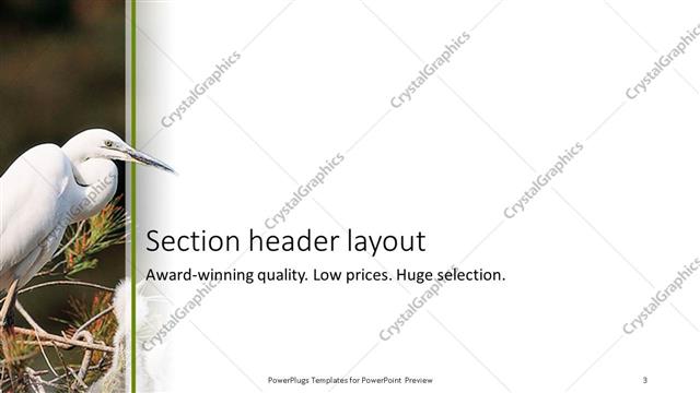 Section Header presentation slide layout