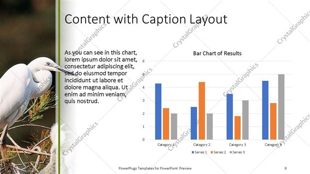 Content with Caption presentation slide layout