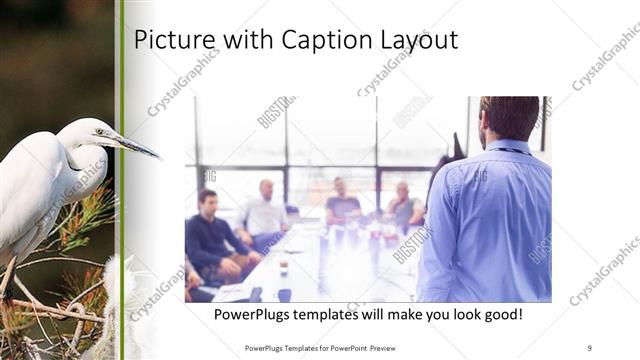 Picture with Caption presentation slide layout