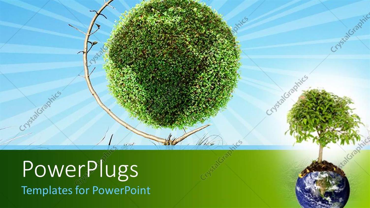 Premium Template for PowerPoint & Google Slides 