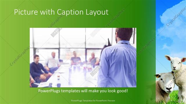 Picture with Caption presentation slide layout