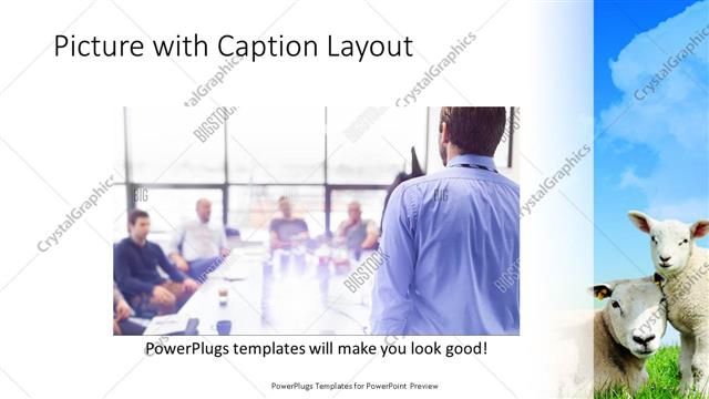 Picture with Caption presentation slide layout