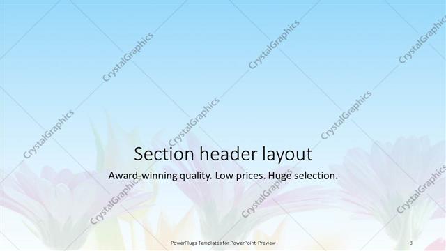 Section Header presentation slide layout