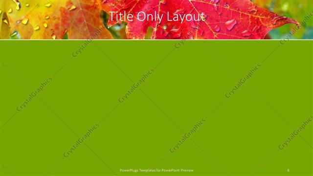 Title Only presentation slide layout