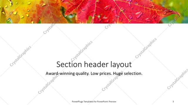 Section Header presentation slide layout