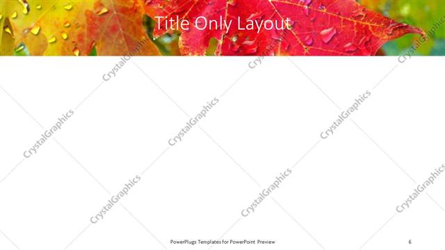 Title Only presentation slide layout