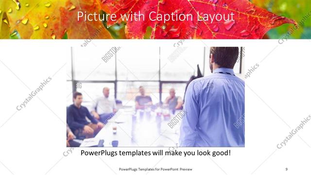 Picture with Caption presentation slide layout