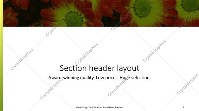 Section Header presentation slide layout