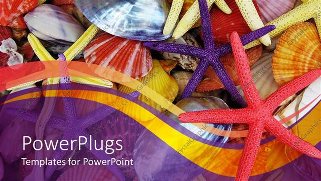  Presentation with sea shells - Multiple colorful star fish and sea shells with purple background