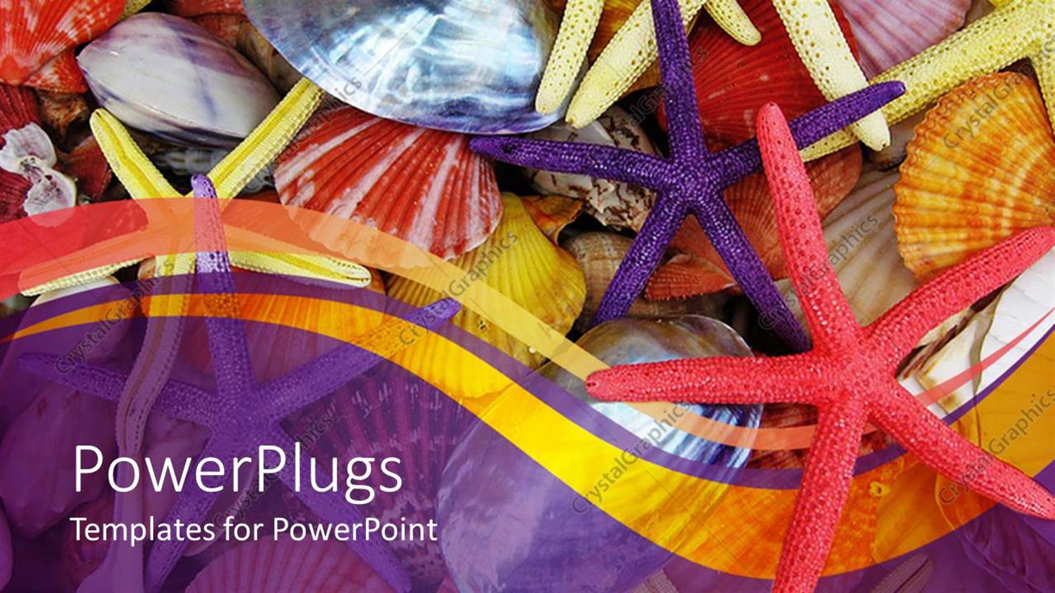 Premium Template for PowerPoint & Google Slides 