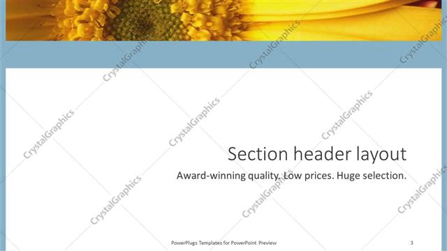 Section Header presentation slide layout