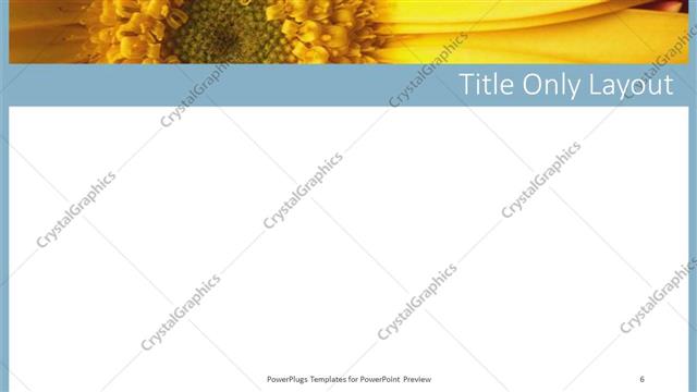 Title Only presentation slide layout