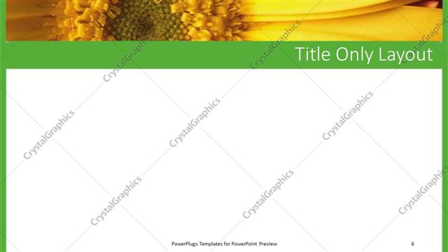 Title Only presentation slide layout