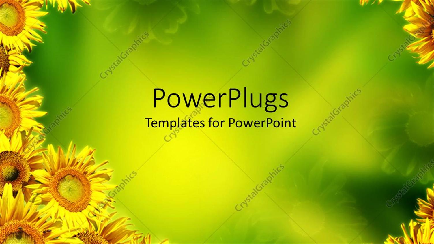 Premium Template for PowerPoint & Google Slides 