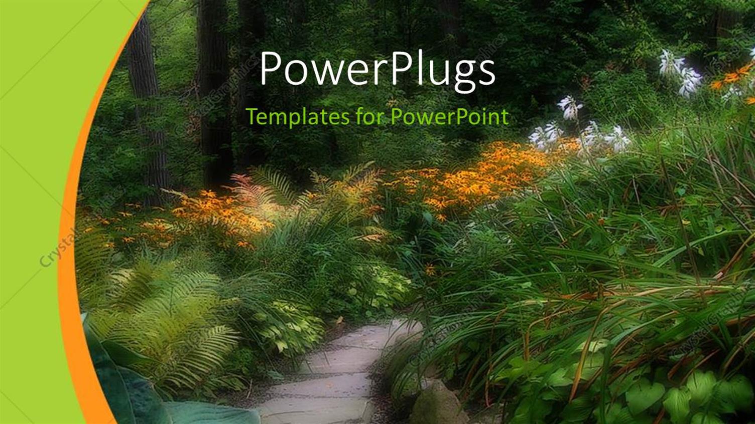 Premium Template for PowerPoint & Google Slides 