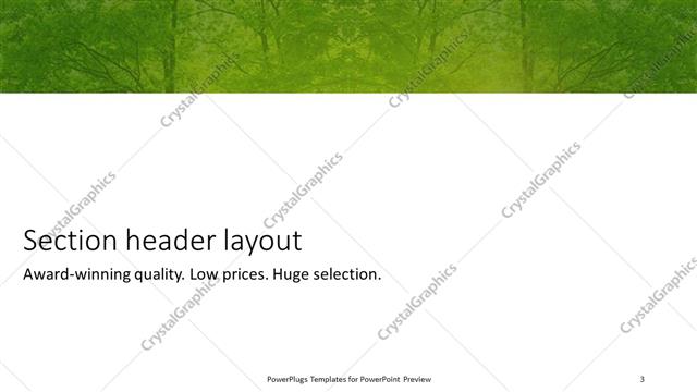 Section Header presentation slide layout