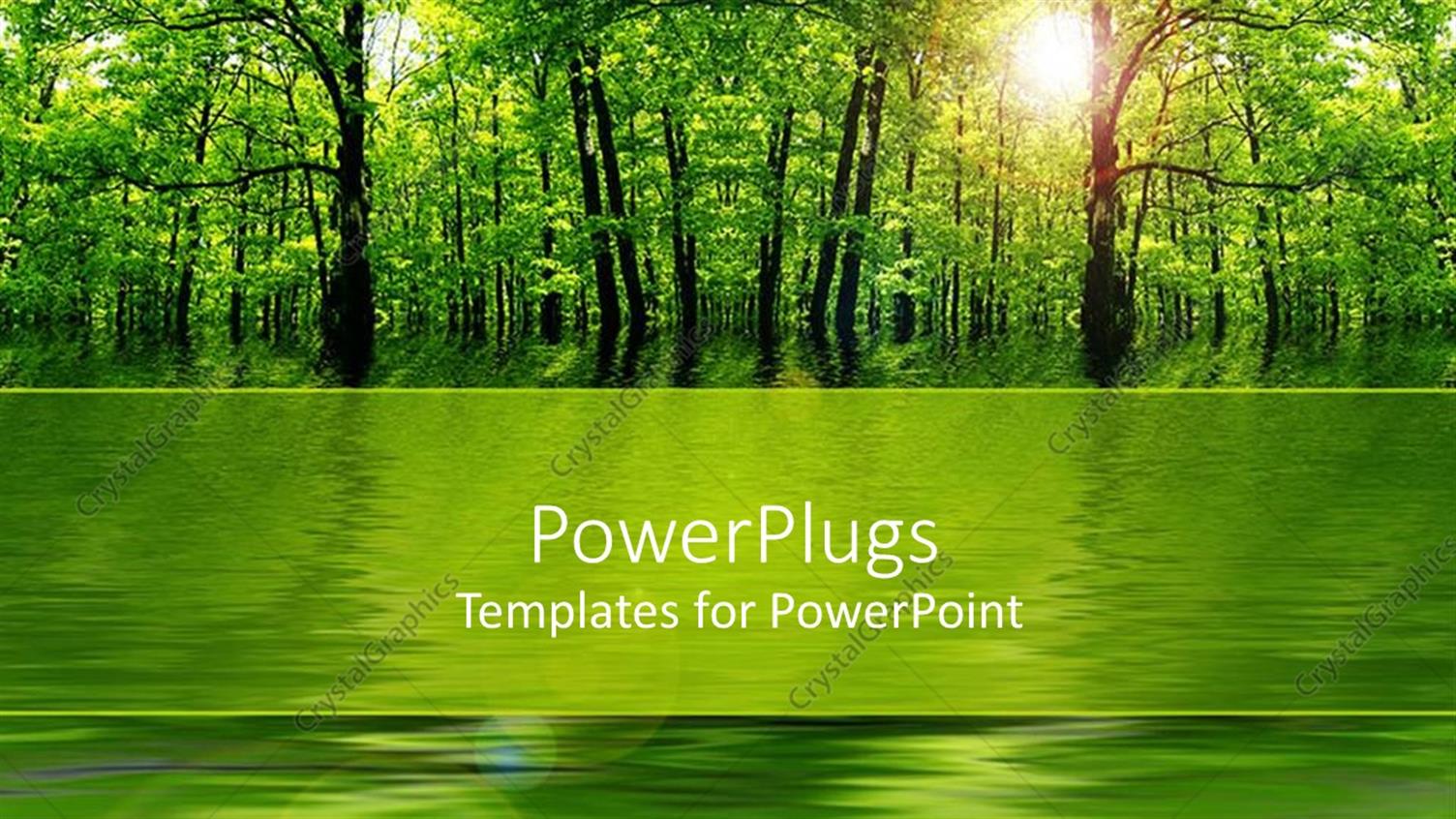 Premium Template for PowerPoint & Google Slides 