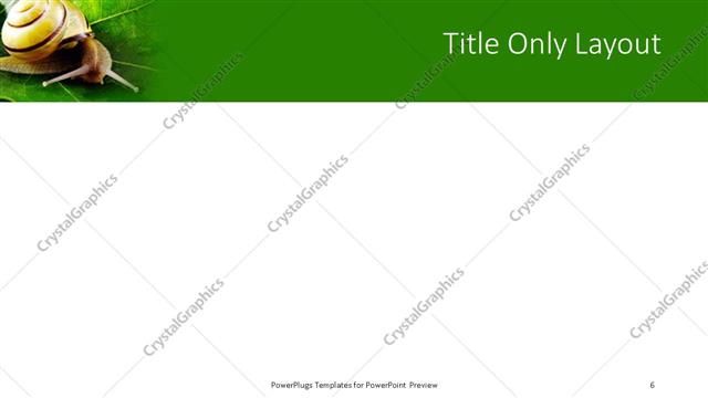 Title Only presentation slide layout