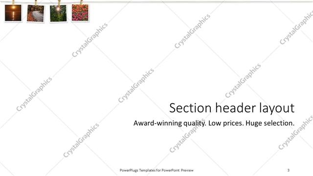 Section Header presentation slide layout