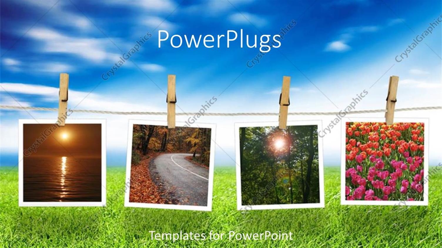 Premium Template for PowerPoint & Google Slides 