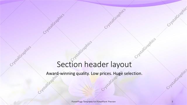 Section Header presentation slide layout