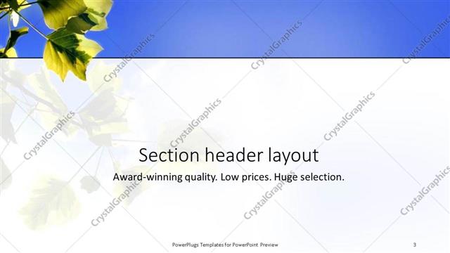 Section Header presentation slide layout