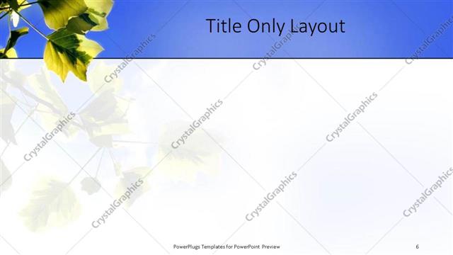 Title Only presentation slide layout
