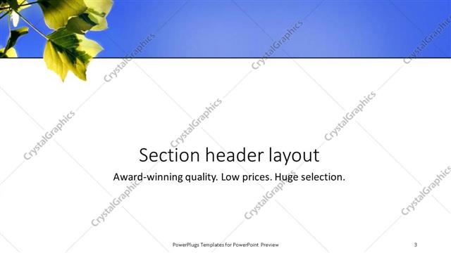 Section Header presentation slide layout