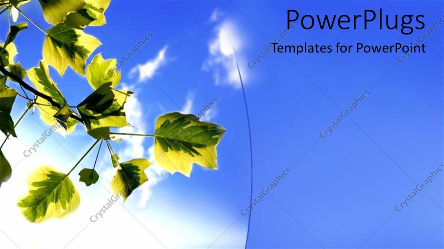 Premium Template for PowerPoint & Google Slides 