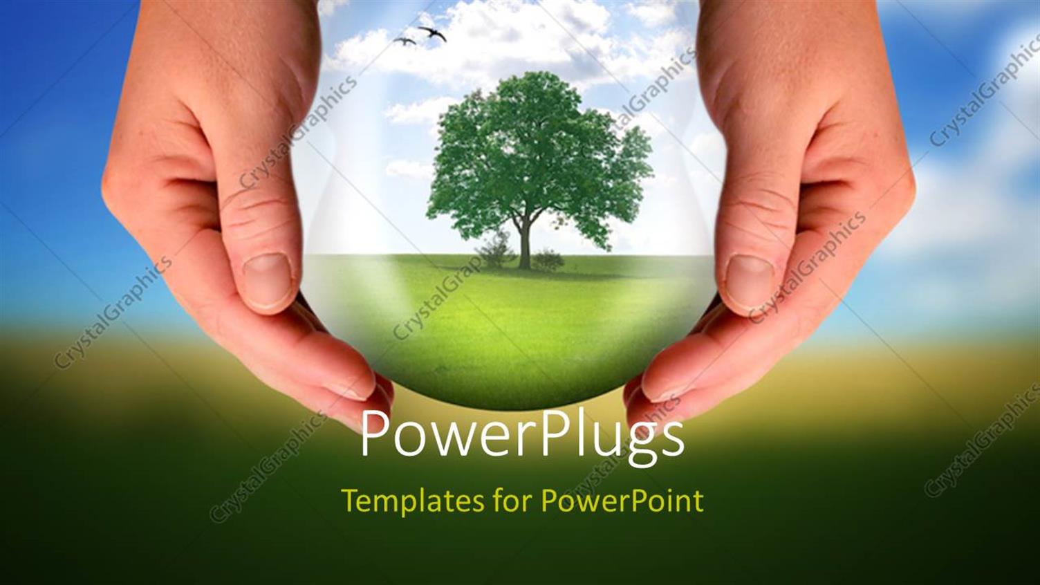 Premium Template for PowerPoint & Google Slides 