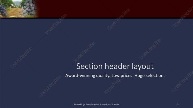Section Header presentation slide layout