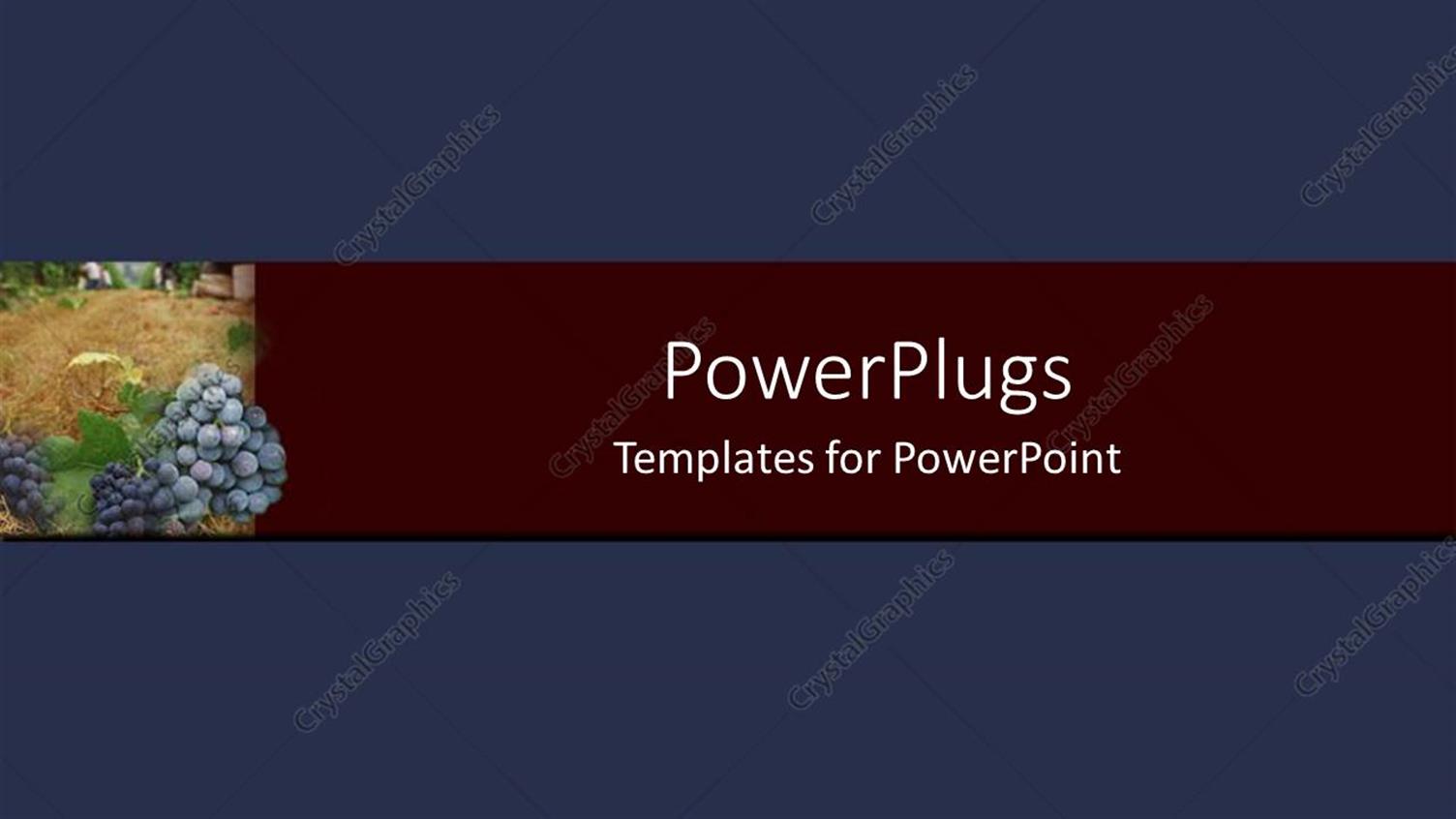 Premium Template for PowerPoint & Google Slides 
