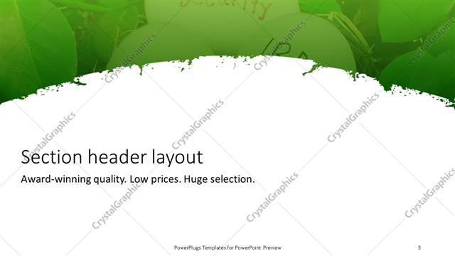 Section Header presentation slide layout