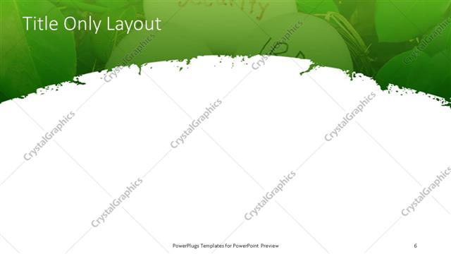 Title Only presentation slide layout