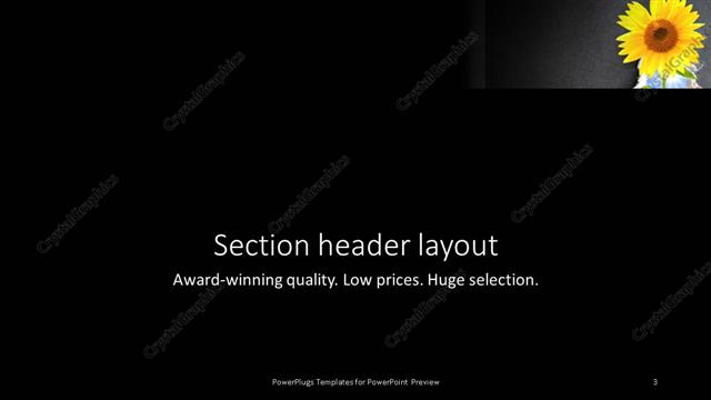 Section Header presentation slide layout