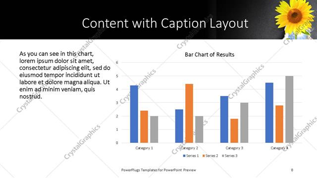 Content with Caption presentation slide layout
