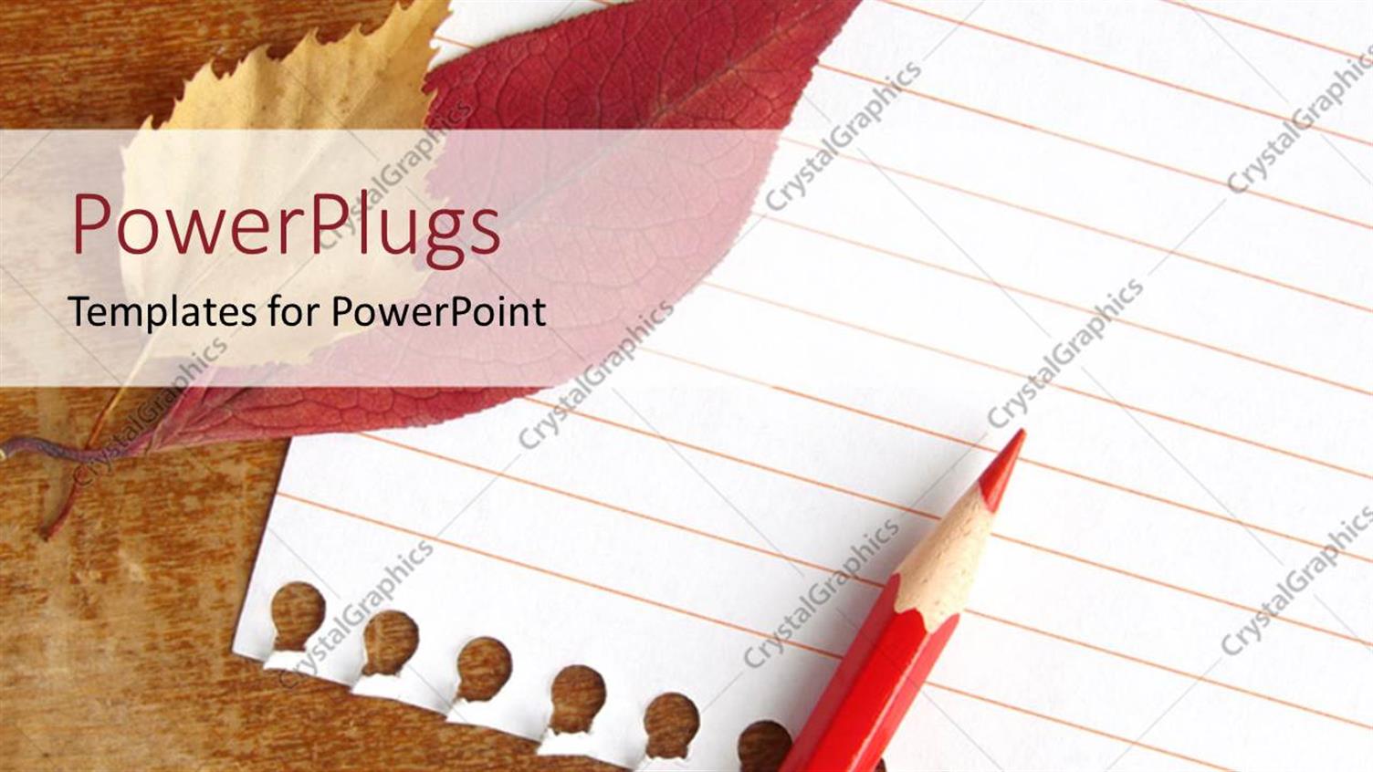 Premium Template for PowerPoint & Google Slides 